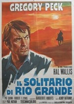 Film solitario di rio - il,