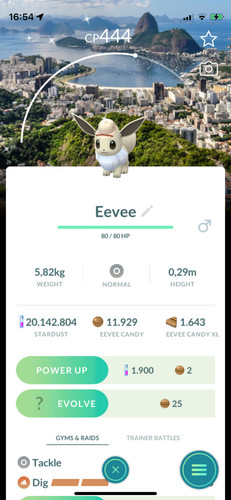 Pokemon costume sfondo - ✨pokemon, |